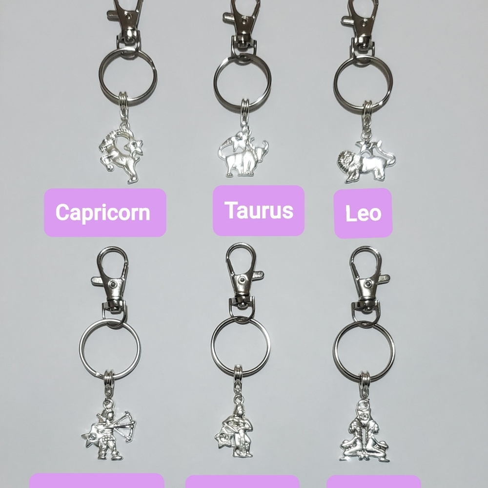 Zodiac Keychain - Picture 2 of 4